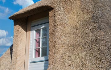 Pant Y Caws thatch roof disadvantages