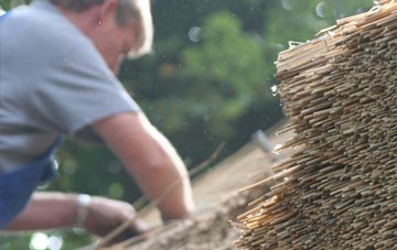 professional Pant Y Caws thatchers